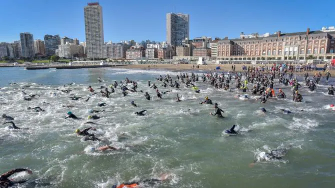 WhatsApp Image 2025-01-04 at 11.46.18