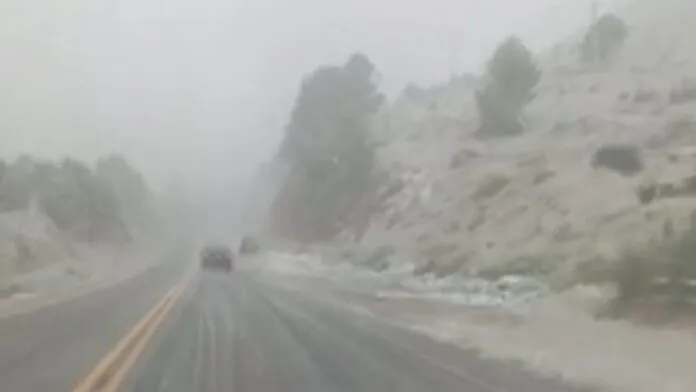 Nevada-Tornquist-696x392