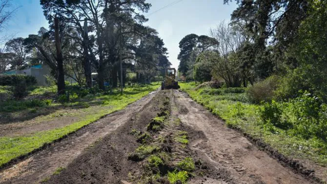 WhatsApp Image 2025-02-13 at 10.54.58