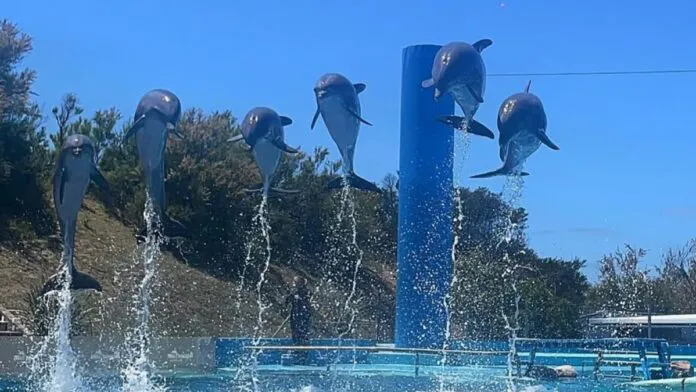 Aquarium-Mar-del-Plata-696x392 (1)