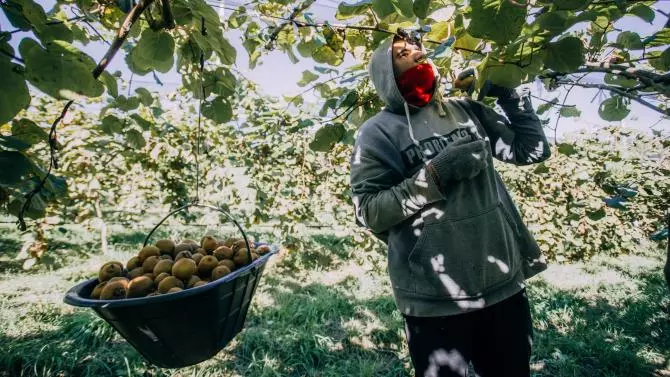 xFoto,P20MGP,P20-,P20Kiwi,P20web.jpeg.pagespeed.ic._1xlsJKO9f