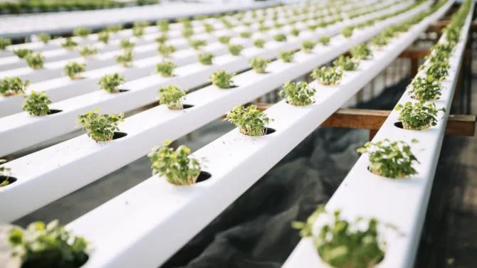 WhatsApp Image 2025-04-07 at 09.12.05 (1)