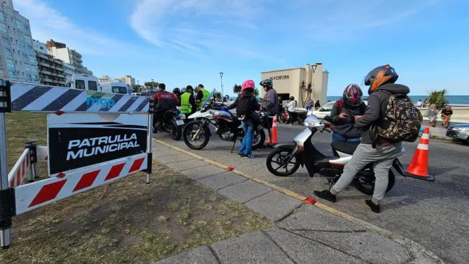 WhatsApp Image 2025-01-20 at 12.06.44